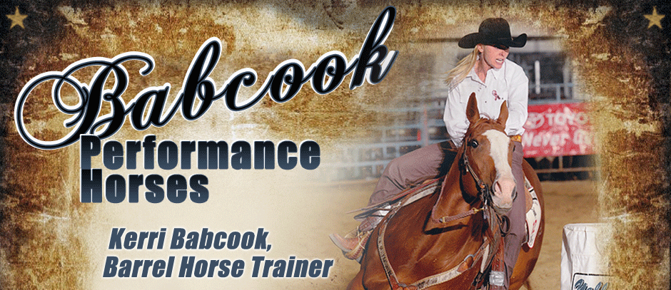 Babcook Performance Horses - Barrel Racing and Team Penning Horses. Kerri Babcook - Barrel Horse Trainer