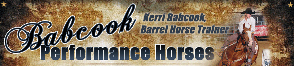 Babcook Performance Horses - Barrel Racing & Team Penning Horses. Kerri Babcook - Barrel Horse Trainer